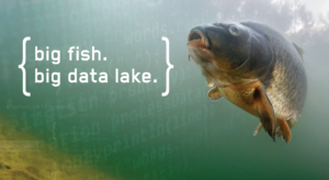 Big-Fish-Data-horiz