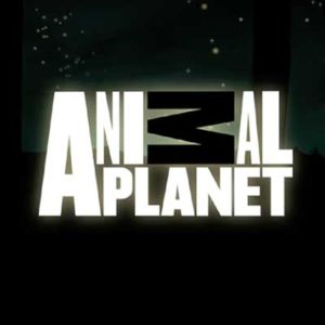 9_Animal_Planet-video